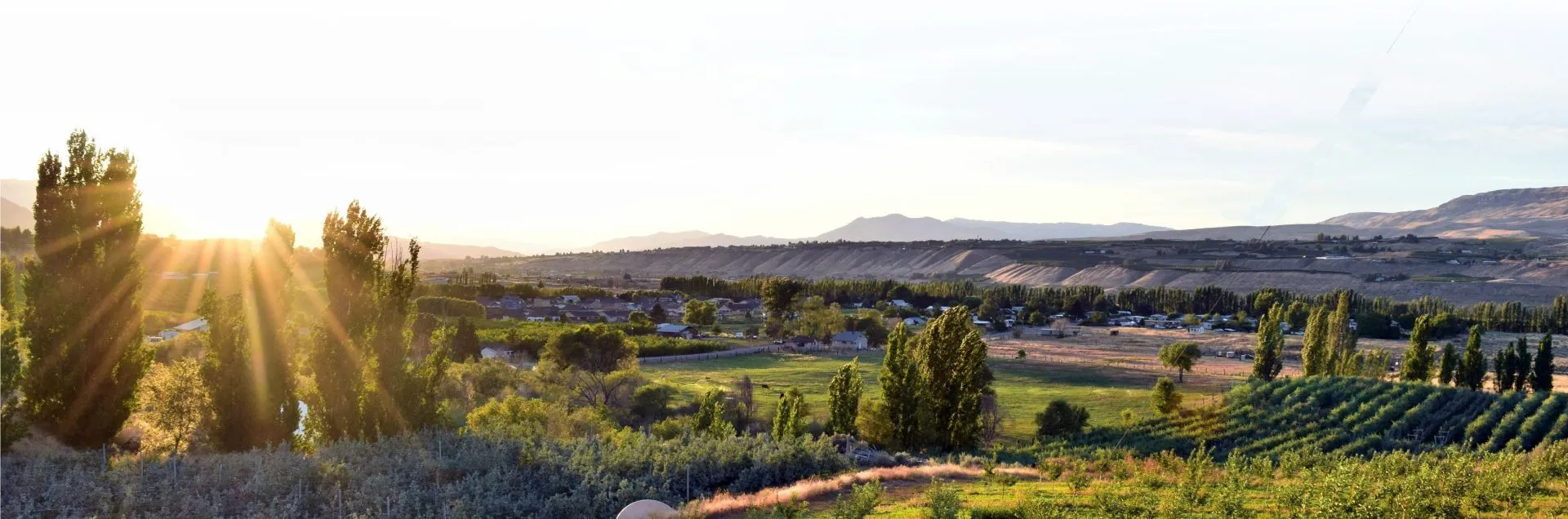 Bilanzuoli Agriculture Background