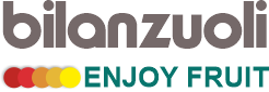 Bilanzuoli Logo